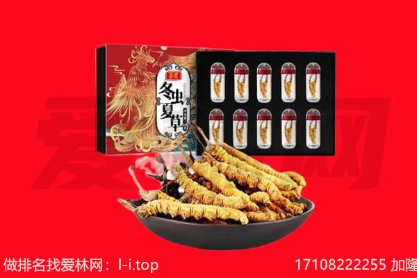 毕节大方县回收虫草.jpg